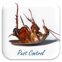 pest control